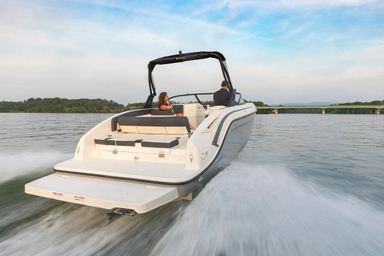 2022 Bayliner DX2250