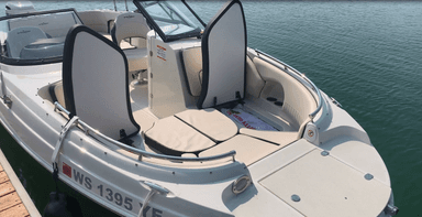 2021 Stingray Boats Stingray 231DC