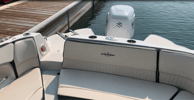 2021 Stingray Boats Stingray 231DC