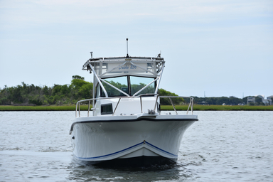 1995 Dusky 256
