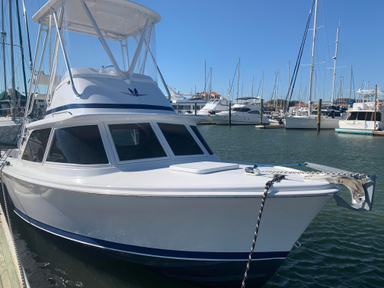 1974 Bertram 31 Flybridge Cruiser