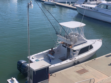 1974 Bertram 31 Flybridge Cruiser