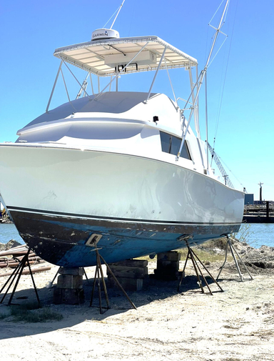 1979 Bertram 33 Sport Fisherman