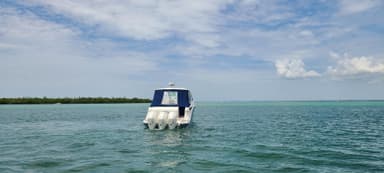 2022 Sea Ray Sundancer 320 Outboard