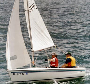 1983 Catalina Yachts Catalina 14.2 - Centerboard (Trunk)