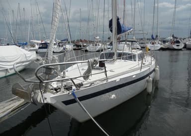 1981 Form Ocean Fruit de mer -Centerboard (Trunk)