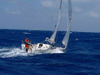 1994 Pogo Structure Pogo 6.50