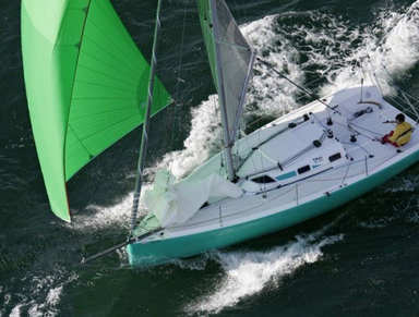 1999 Pogo Structure Pogo 8.50