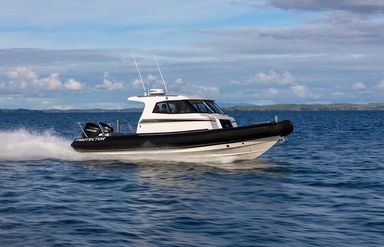 2022 Rayglass Boats Protector 310 Targa