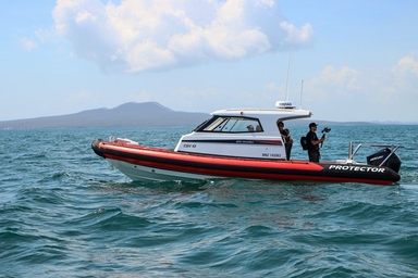 2022 Rayglass Boats Protector 310 Targa