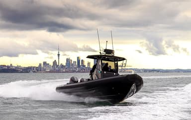 2021 Rayglass Boats Protector 330 Chase