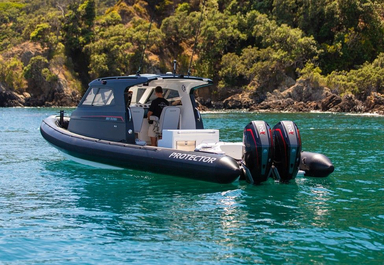 2022 Rayglass Boats Protector 330 Targa