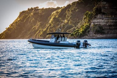 2021 Rayglass Boats Protector 380 Chase