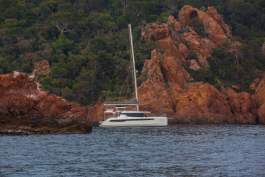 2019 Robertson and Caine Leopard 50