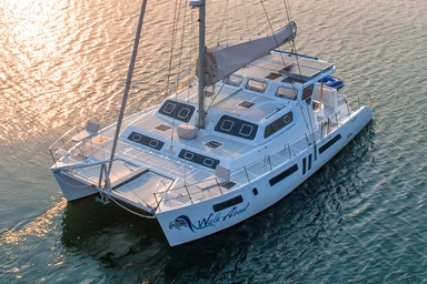 2020 Royal Cape Catamaran Majestic 530