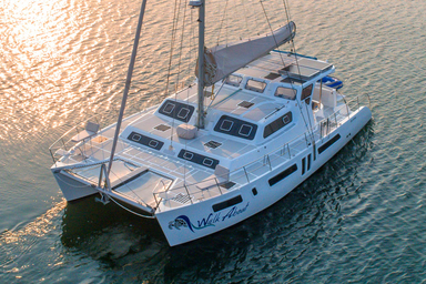 2020 Royal Cape Catamaran Majestic 530