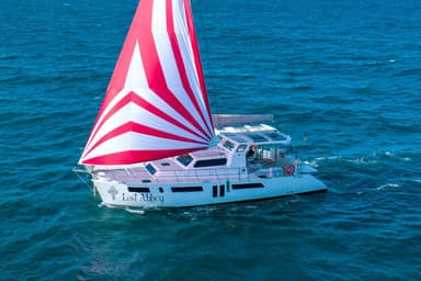 2020 Royal Cape Catamaran Majestic 530