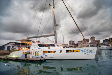 2021 Royal Cape Catamaran Majestic 570