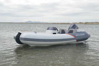 2022 Sealegs 3.8M Tender