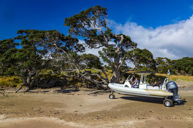 2020 Sealegs 7.5M Amphibious RIB