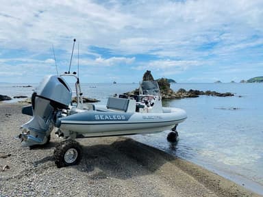 2023 Sealegs 7.5M Electric RIB