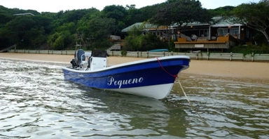 2019 Sensation Boats Islander