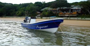 2019 Sensation Boats Islander