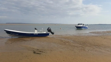 2019 Sensation Boats Islander