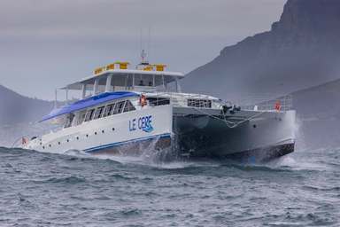 2019 Two Oceans 110 Day Charter Power Catamaran