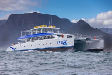 2019 Two Oceans 110 Day Charter Power Catamaran