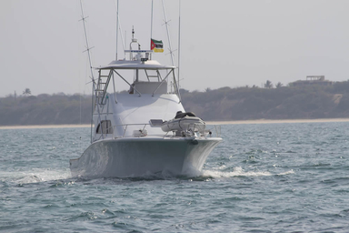 2012 Two Oceans 48 Sport Fisher