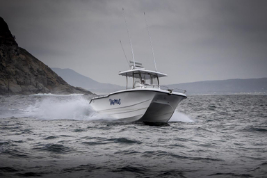 2019 Two Oceans Magnum 2750 Power Catamaran Centre Console