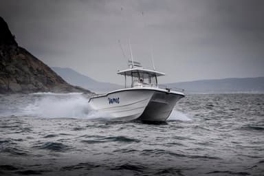 2019 Two Oceans Magnum 2750 Power Catamaran Centre Console