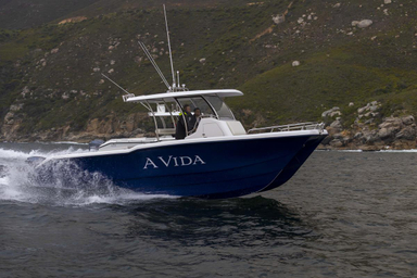 2019 Two Oceans Magnum 2750 Power Catamaran Centre Console