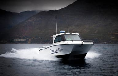 2010 Two Oceans Magnum 36 Power Catamaran Walkaround