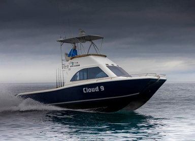 2010 Two Oceans Magnum 36 Power Catamaran Walkaround