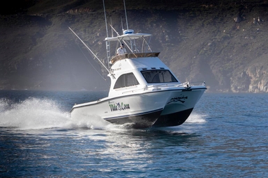2010 Two Oceans Magnum 36 Power Catamaran Walkaround