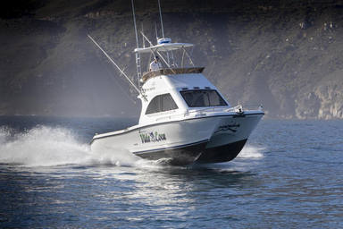 2010 Two Oceans Magnum 36 Power Catamaran Walkaround