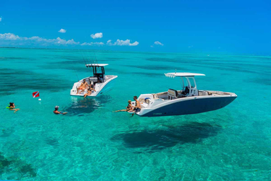 2022 Yamaha Boats 255 FSH Sport E