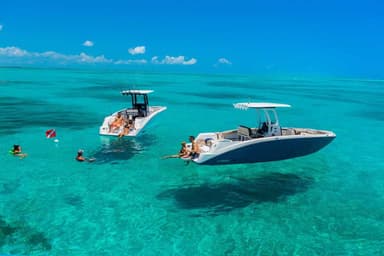 2022 Yamaha Boats 255 FSH Sport E