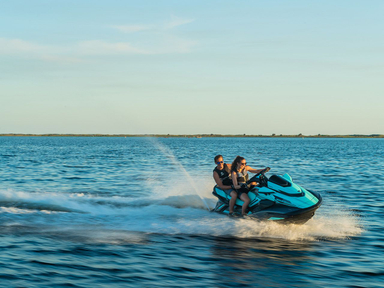 2021 Yamaha WaveRunner FX Limited SVHO